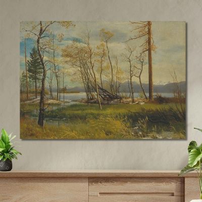 Lake Tahoe 2 Albert Bierstadt abr45 canvas print 