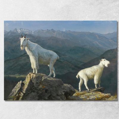 Mountain Goats Albert Bierstadt abr67 canvas print 