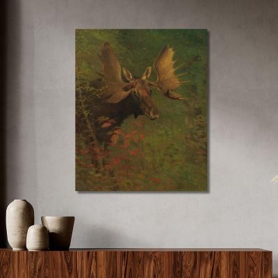 Study Of A Moose Albert Bierstadt abr94 canvas print 