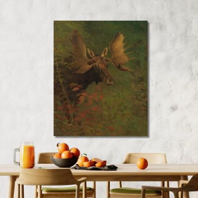 Study Of A Moose Albert Bierstadt abr94 canvas print 