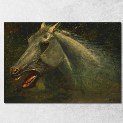 A Wild Stallion An Original Oil Sketch For The Last Of The Buffalo Albert Bierstadt abr141 canvas print 