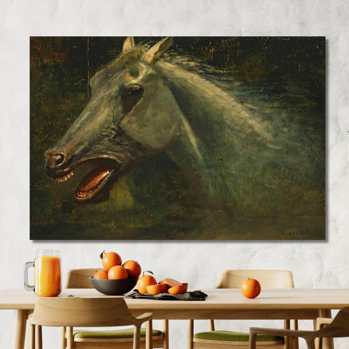 A Wild Stallion An Original Oil Sketch For The Last Of The Buffalo Albert Bierstadt abr141 canvas print 