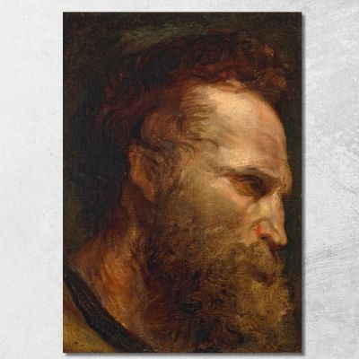 Head Study Of A Bearded Man 2 Anthony van Dyck avd32 canvas print 