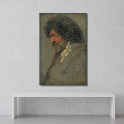 Head Study Of A Man Anthony van Dyck avd34 canvas print 