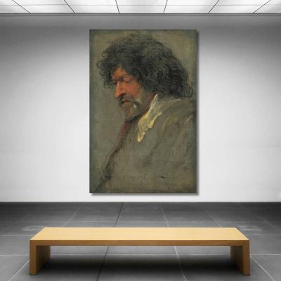 Head Study Of A Man Anthony van Dyck avd34 canvas print 