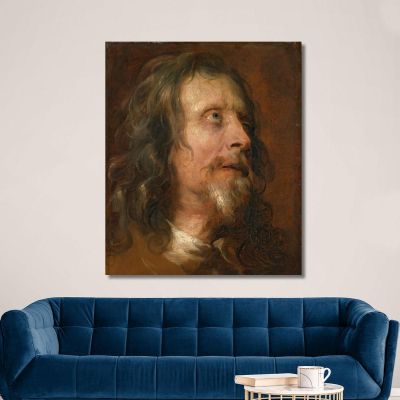 Portrait Study Of A Bearded Man Anthony van Dyck avd89 canvas print 