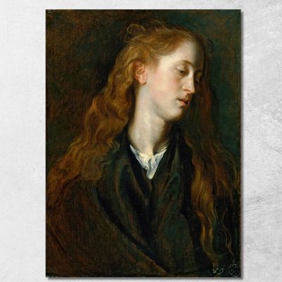 Study Head Of A Young Woman Anthony van Dyck avd105 canvas print 