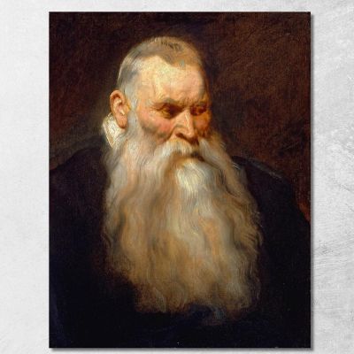 Study Head Of An Old Man With A White Beard Anthony van Dyck avd106 canvas print 