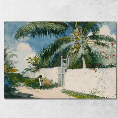 A Garden In Nassau Winslow Homer whm6 canvas print 
