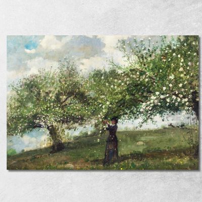 Girl Picking Apple Blossoms Winslow Homer whm74 canvas print 