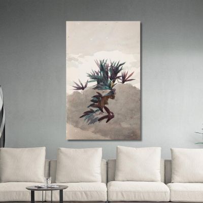 Hillside With Clumps Of Maguey Winslow Homer whm87 canvas print 