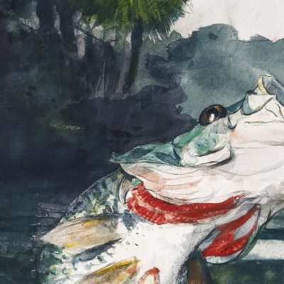 Life-Size Black Bass Winslow Homer whm103 canvas print