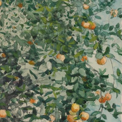Orange Trees And Gate Winslow Homer whm129 canvas print