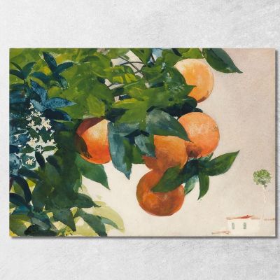 Oranges On A Branch Winslow Homer whm130 canvas print 