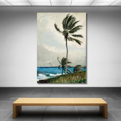 Palm Tree Nassau Winslow Homer whm131 canvas print 