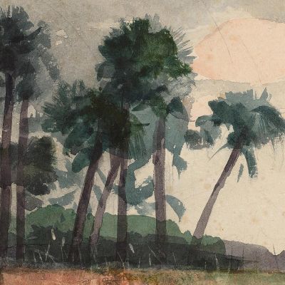 Palm Trees Red Winslow Homer whm132 canvas print
