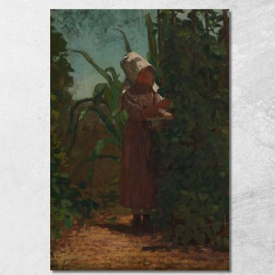The Bean Picker Winslow Homer whm195 canvas print 