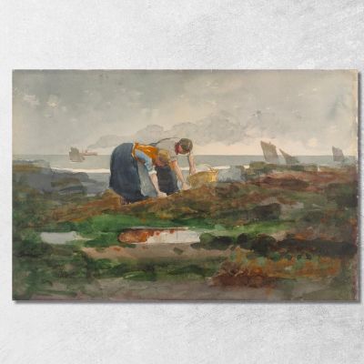 The Mussel Gatherers Winslow Homer whm230 canvas print 