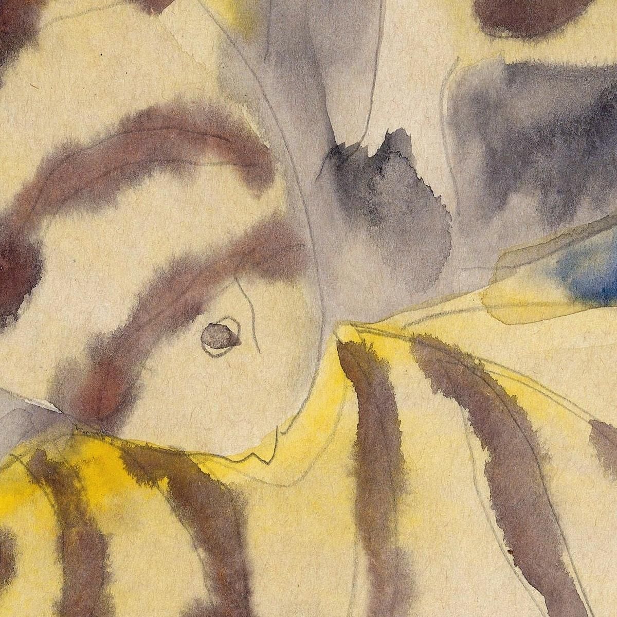 Fish Series No. 3 Charles Demuth cdm15 canvas print