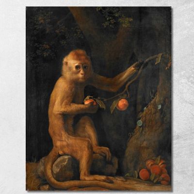 A Monkey George Stubbs gst3 canvas print 