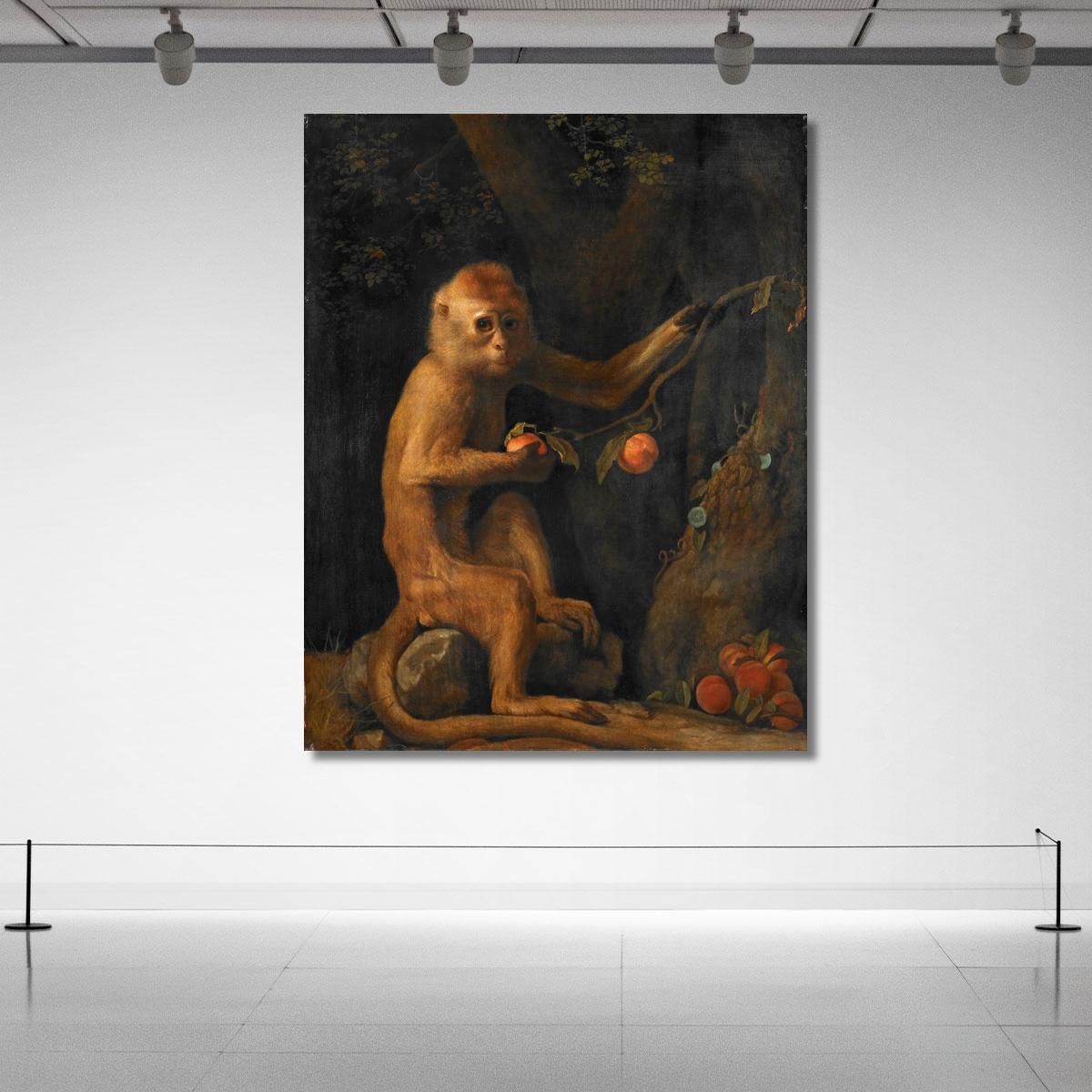 A Monkey George Stubbs gst3 canvas print 