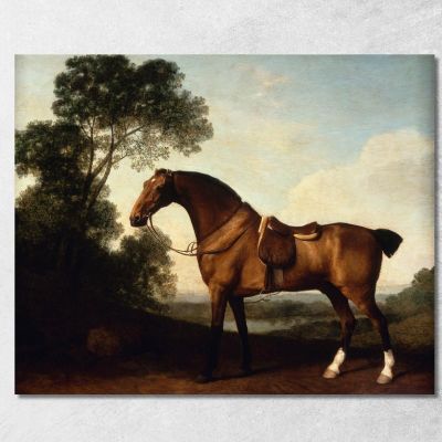 A Saddled Bay Hunter George Stubbs gst5 canvas print 