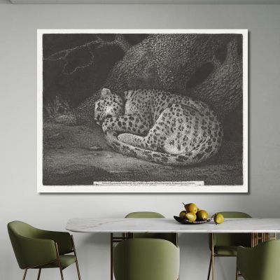 A Sleeping Leopard 1791 George Stubbs gst6 canvas print 