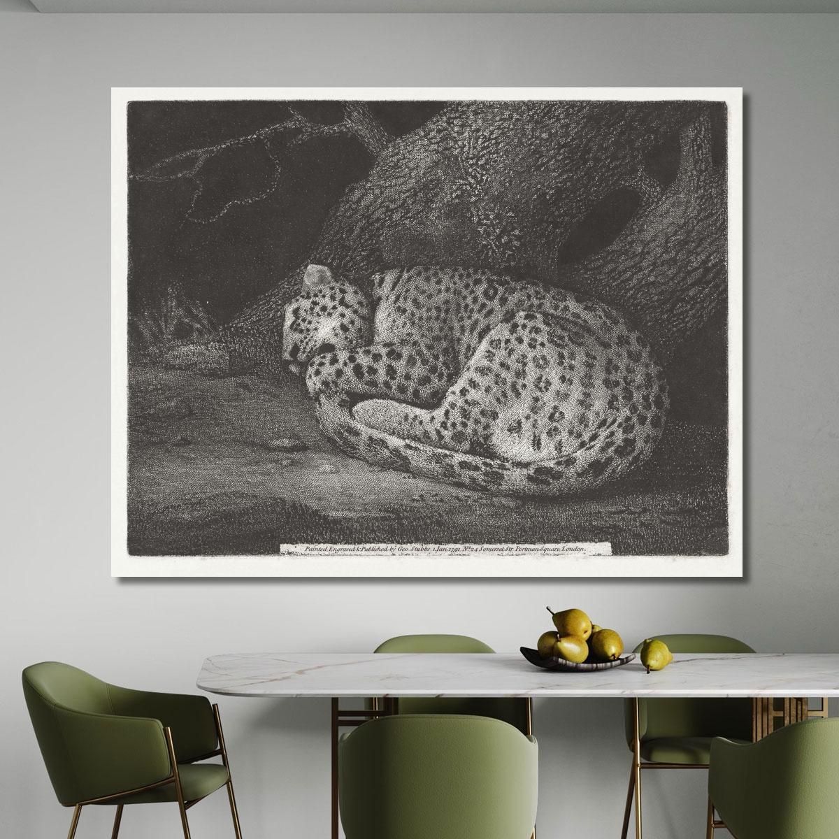 A Sleeping Leopard 1791 George Stubbs gst6 canvas print 