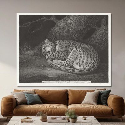 A Sleeping Leopard 1791 George Stubbs gst6 canvas print 