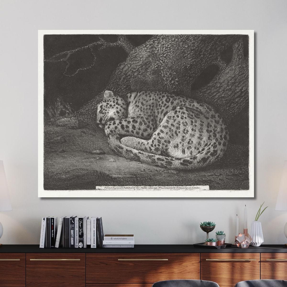 A Sleeping Leopard 1791 George Stubbs gst6 canvas print 