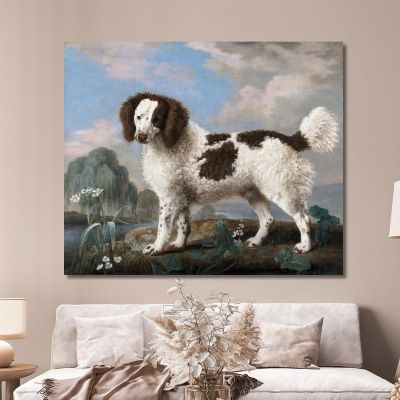 Brown And White Norfolk Or Water Spaniel 1778 George Stubbs gst10 canvas print 