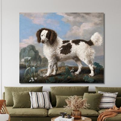 Brown And White Norfolk Or Water Spaniel 1778 George Stubbs gst10 canvas print 