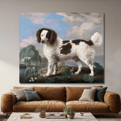 Brown And White Norfolk Or Water Spaniel 1778 George Stubbs gst10 canvas print 