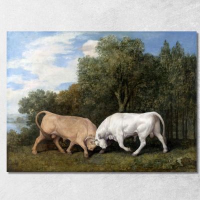 Bulls Fighting 1786 George Stubbs gst11 canvas print 