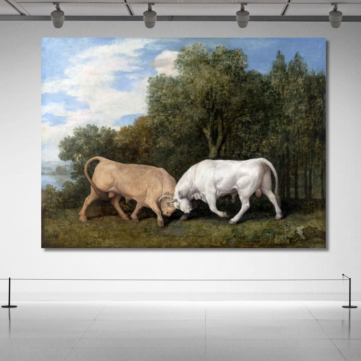 Bulls Fighting 1786 George Stubbs gst11 canvas print 