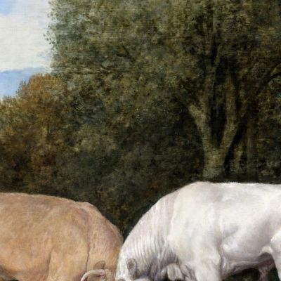 Bulls Fighting 1786 George Stubbs gst11 canvas print