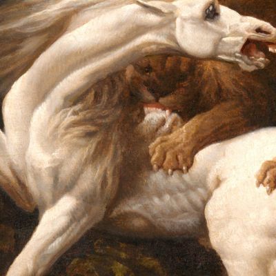 Horse Attacked By A Lion George Stubbs gst19 canvas print