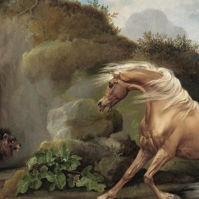 Horse Frightened By A Lion 1762-1768 George Stubbs gst21 canvas print