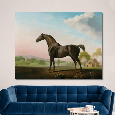 Lord Grosvenor'S Sweet William In A Landscape George Stubbs gst27 canvas print 