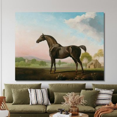 Lord Grosvenor'S Sweet William In A Landscape George Stubbs gst27 canvas print 