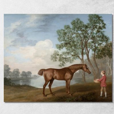 Pumpkin With A Stable-Lad 1774 George Stubbs gst34 canvas print 