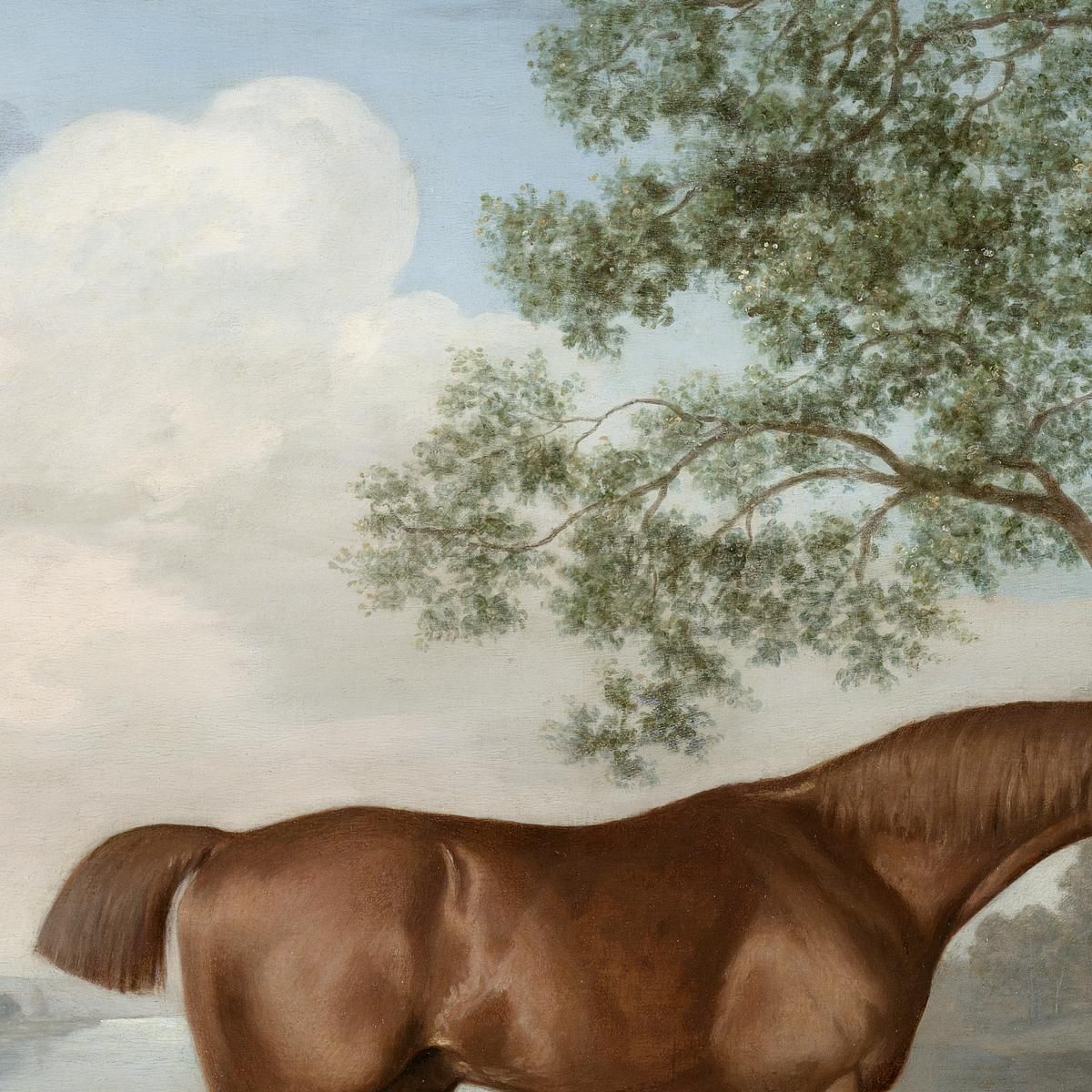 Pumpkin With A Stable-Lad 1774 George Stubbs gst34 canvas print