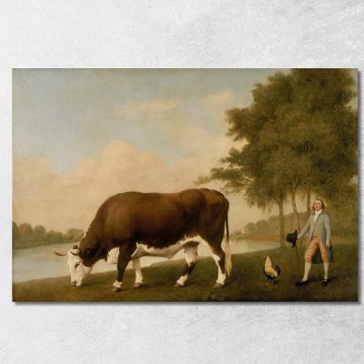 The Lincolnshire Ox George Stubbs gst41 canvas print 