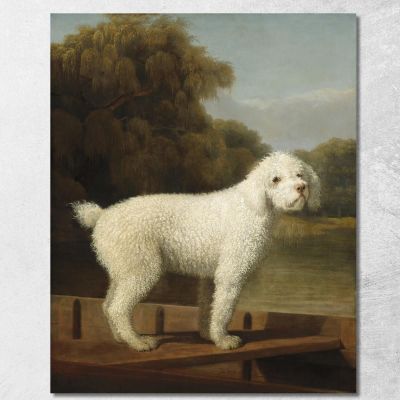 White Poodle In A Punt George Stubbs gst56 canvas print 