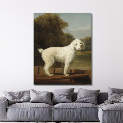 White Poodle In A Punt George Stubbs gst56 canvas print 