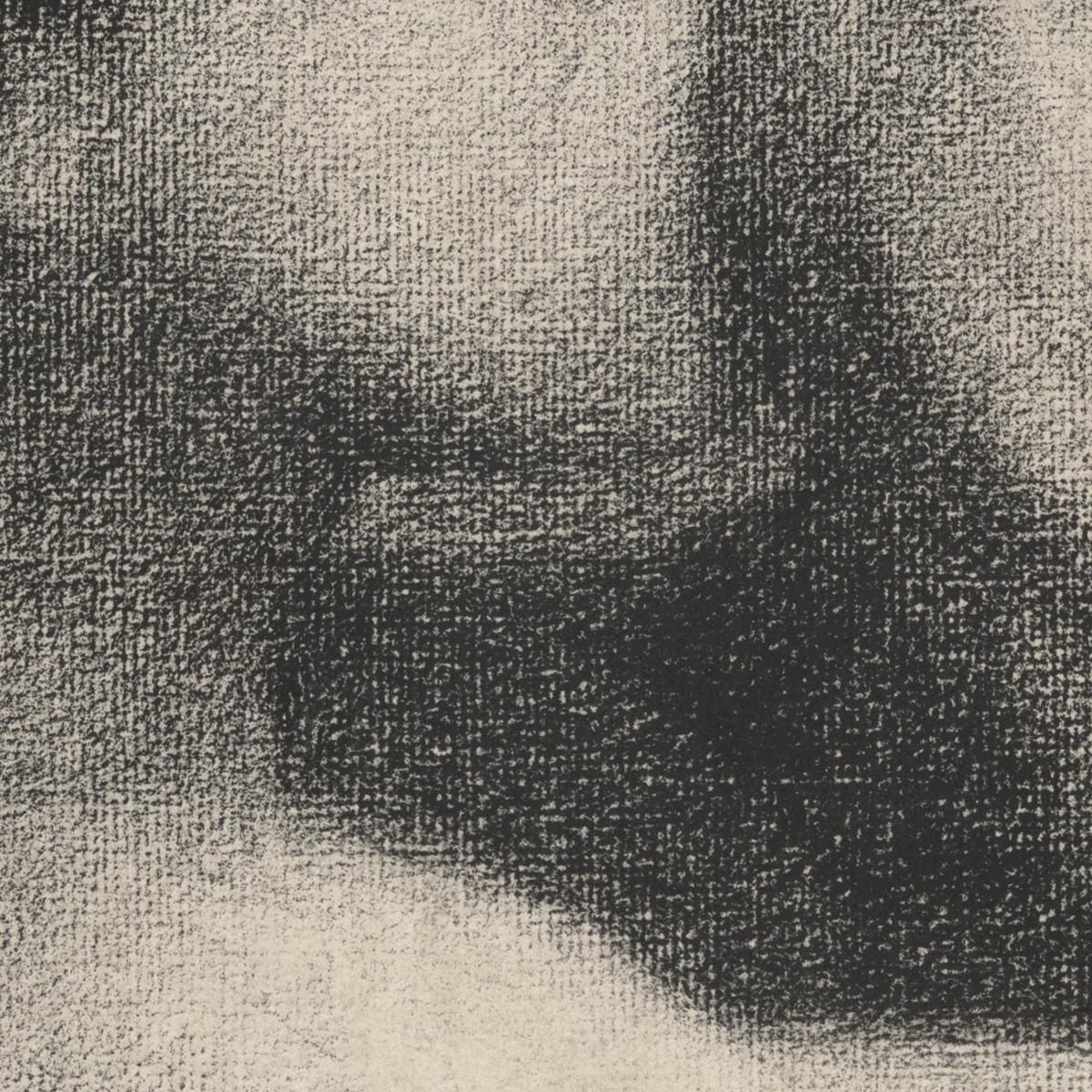 Echo Bathers At Asnières Georges Seurat gsr20 canvas print