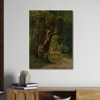 Deer In The Forest Gustave Courbet cg59 canvas print 