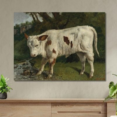 The White Veal Gustave Courbet cg102 canvas print 