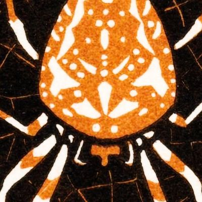 Spider In A Web Julie de Graag jdg55 canvas print
