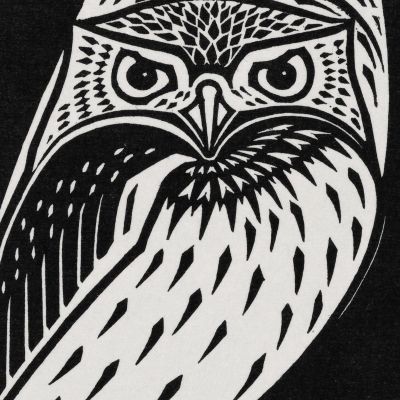 Two Owls Julie de Graag jdg64 canvas print